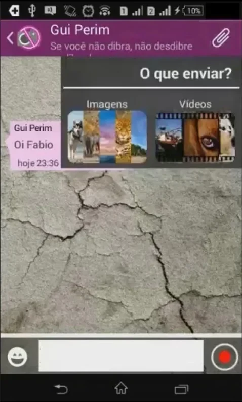 Seleção de imagens e vídeos no VibeFestApp